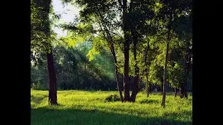 Birmingham Michigan Manor Park Nature Preserve and Hiking Trails