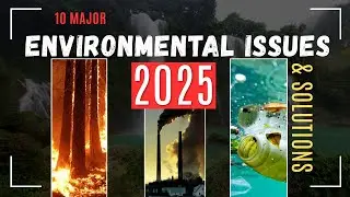 10 Major Environmental Issues & Solutions