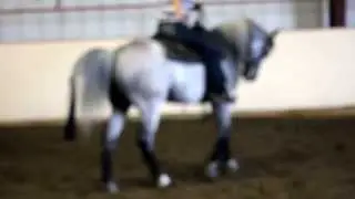 cs on lc 5 fuzzy belly and ribcage up and shoulrders back he slows! nice little sigh