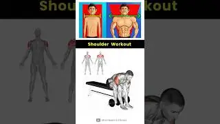 Shoulder Workout 🔥💪🏻💯✅ #shorts #viral #workout #shoulderworkout