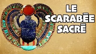Pourquoi le SCARABEE était vénéré par les égyptiens de l'antiquité ? - MONSIEUR EGYPTE
