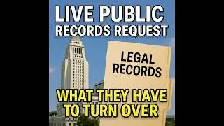 Watch Me File a LIVE Public Records Request &ndash; Holding the City Accountable Step by Step