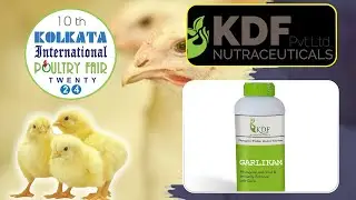 Natural Poultry Feed Additives | KDF Nutraceuticals | Kolkata International Poultry Fair 2024