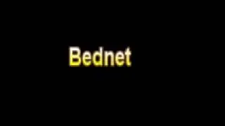 What Is The Definition Of Bednet Medical Dictionary Free Online