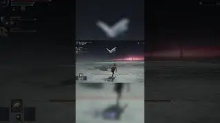 he hates moths
