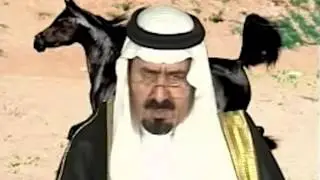 آل سعود وقتل شيخ العجمان المعارض فيصل بن حثلين