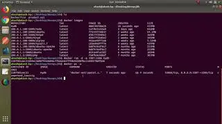 Setup MySQL Node and Angular in docker container