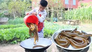 Smart boy Seyhak cook Eel fish with homestyle | Eel fish recipe | Chef Seyhak