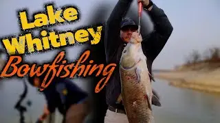 Bowfishing at Night (Monster Buffalo Fish) First Trip Out!