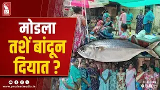 Nerul Fisherwomen Left Stranded After PWD Crackdown
