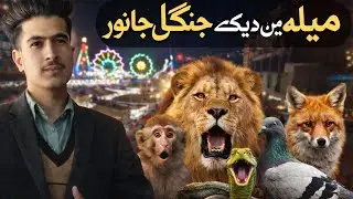 میلے میں کیاکچھ ہوتا ہے؟|Animals,Food, Circus|Full Mela Tour
