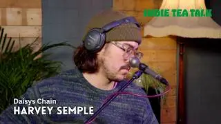 Harvey Semple - Daisys Chain - Indie Tea Talk