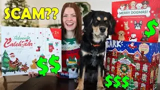 Are These Dog Advent Calendars Worth the $$$?
