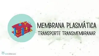Membrana plasmática - Transporte transmembranar - Biologia e Geologia 10ºano