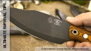 WOW! Best Wilderness / Bushcraft Survival Knife? - David Discovers Habilis Bushtool Survival Knife