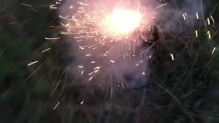 Pyro predator shell