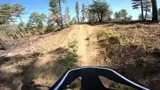 Spicy Bean.  Bean Peaks Bike Park. Prescott Arizona.