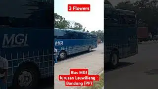 Bus MGI Jurusan Leuwiliang - Bandung #shorts