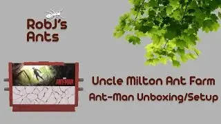 Uncle Milton (Ant-Man) Ant Farm Unboxing and Set-Up (4k)