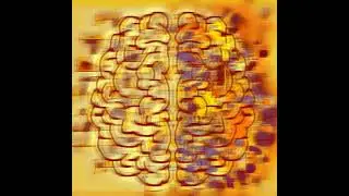 NZT-48 Premium pill(High potential) (PREMIUM Morphic Field) 
