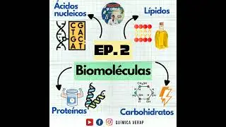 Biomoléculas (Proteínas, Carbohidratos, Lípidos y Ácidos nucleicos)-Podcast de Ciencia
