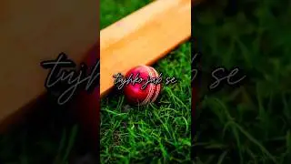 my life 🏏