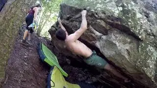 Shelf Awareness