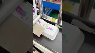 Automatic flat surface sticker labeling machine#labeling machine#factory #industrialmachine