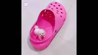VEN CARI&Ntilde;O VEN ❤️