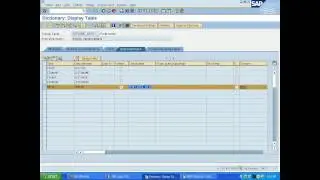 13. Search help, Table types, Type groups and locks in SAP ABAP
