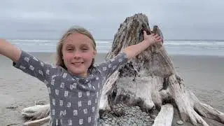 🧚🏼‍♂️Ocean Fairy House; Beach Fort on the Washington Coast 🌊