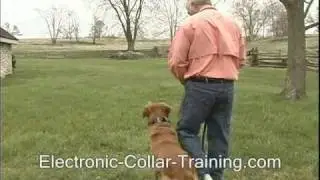 Train the Flip Finish - Finish to the Left from in front Electronic Collar Training