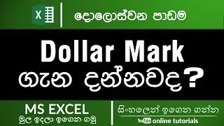 Microsoft Excel Beginner Course (Sinhala) Part 12 - Dollar Mark?