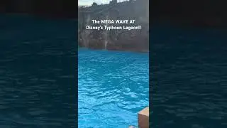 The mega wave at Disney's Typhoon Lagoon Water Park!!  #typhoonlagoon #wavepool #disneyworld
