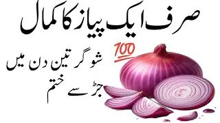 Life changing quotes Hikmat ki batien Aqwale zareen ROMI quotes Motivational quotes Golden words 