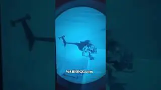 Little Bird Roof Landing Remember Everyone Deployed #army #military #helicopter #shorts