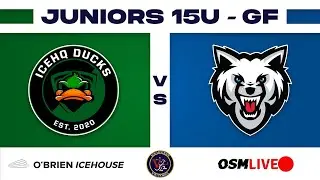 Grand Final | IceHQ Ducks vs Docklands Ice Wolves | IHV Junior 15U | Ice Hockey