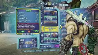Rainbow Rarity Borderlands finds