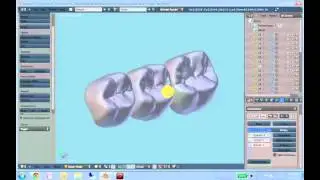 Tooth Library Tour
