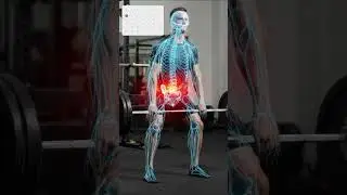 14.2 SI haces ejercicio con Dolor Lumbar, escucha esto