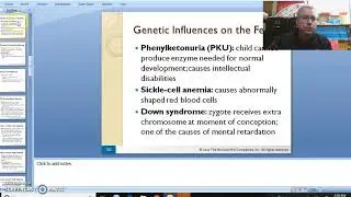 Prenatal Development