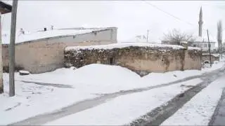 Büyük Kömarmut  2013