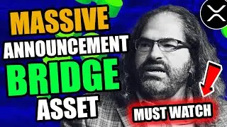 Massive announcement from David Schwartz on Ripple XRP News! XRP AS DEFI'S BRIDGE ASSET!