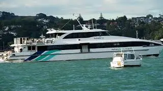 Auckland Harbour Morning