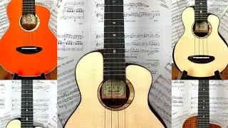 AnueNue Ukuleles - Comparing the Moonbirds, Koa Bird and Lion Models