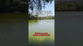 #haiacasa