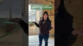 Check out the new resident raptor enclosures at Willowbrook Wildlife Center!