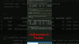 .loc[] property in Python Pandas