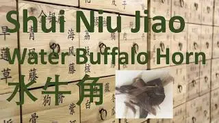 66 Chinese Herbal Medicine, TCM - Shui Niu Jiao (Water buffalo horn)( Cornu Bubali) 水牛角 - 中医 中药