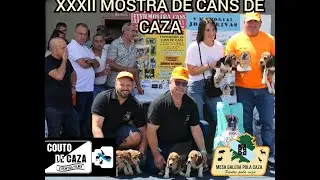 COUTO DE CAZA NA EXPOSICI&Oacute;N DE CANS DO MESON DO VENTO 2025
